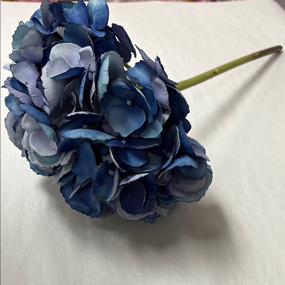 Elegant Blue Hydrangea Stem